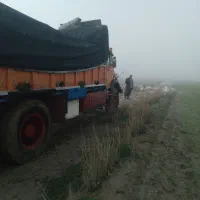 تک طلا مدل ۶۲ایران
