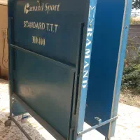 پینگ پنگ
