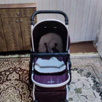 کالسکه مدل pro دلیجان|کالسکه و لوازم جانبی|ملایر, |دیوار