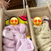 گهواره دوقلویی