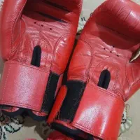 دستکش بوکس|تجهیزات ورزشی|تاکستان, |دیوار