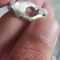 زنجیر کارتیر نقره ایتالیایی|جواهرات|گلستان (تهران), |دیوار