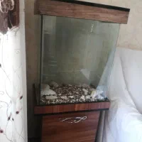 آکواریوم شیشه خم