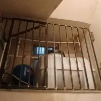 نصب و تعمیر تخصصی پمپ آب|خدمات پیشه و مهارت|تهران, آهنگ|دیوار