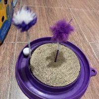 جا خواب دومنظوره گربه و‌اسباب بازی