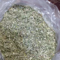 یونجه دیم|لوازم جانبی حیوانات|شیروان (خراسان), |دیوار