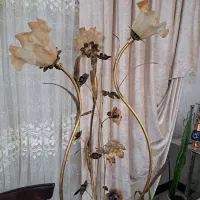 آباژور