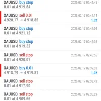 ربات ترید روی طلا وین ریت خوب