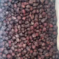 کیشته کیلاس|عمده‌فروشی|مشهد, هفده شهریور|دیوار