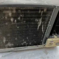 کولرگازی پنجره ای کریر