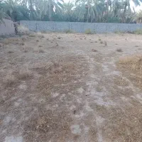 دهشتر زمین فروشی