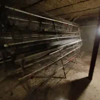 قفس مرغ تخم گذار