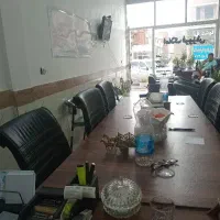 تک خواب نوساز ملاباشی