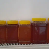 عسل طبیعی وارگانیک|خوردنی و آشامیدنی|شاهین‌شهر, گرگاب|دیوار