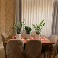 میزناهارخوری6نفر