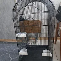 قفس|لوازم جانبی حیوانات|بهارستان, |دیوار