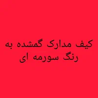 کیف مدارک گمشده به نام حسین فدائی