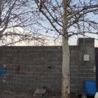 شرکت-برق-کاهو