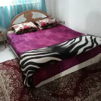 سوئیت کد ۱۹|اجارهٔ کوتاه‌مدت آپارتمان و سوئیت|لاهیجان, لیالستان|دیوار