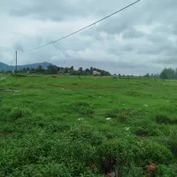 چند-قطعه-زمین-متراژ-350متری-شهر-احمد-سرگوراب