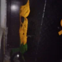 بلال تنوری|اجاق گاز و لوازم برقی پختوپز|ساوه, |دیوار