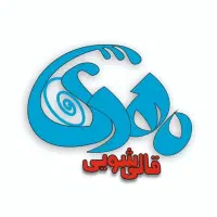 کارخانه قالیشویی مهدی
