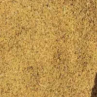 بذر یونجه ی همدانی کیلویی ۸۰۰