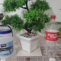 سطل ماست و نوشابه خانواده