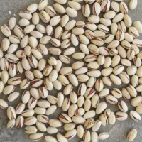 پسته عمده|خوردنی و آشامیدنی|تهران, بازار|دیوار
