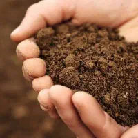 خاک مقبره شیخ کومایین