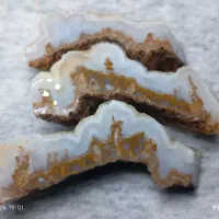 سنگ شجر زیبا