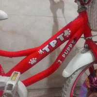 ۲ عدد دوچرخه سایز ۲۰ دخترانه مشابه آکبند|دوچرخه، اسکیت، اسکوتر|تهران, تهرانپارس شرقی|دیوار