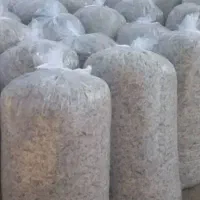 تفاله چغندر بسته بندی|عمدهفروشی|آق قلا, |دیوار