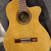 گیتار برند مارتینز