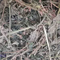 فروش یونجه خشک داخل سالن