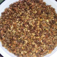 توت درجه یک هرگال