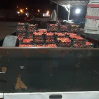 وانت کرایه باقیمت خوب