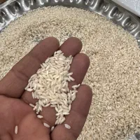 برنج عنبر بو|خوردنی و آشامیدنی|بندر ماهشهر, |دیوار