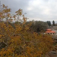 اجاره سوییت ویلایی مبله|اجارهٔ کوتاهمدت آپارتمان و سوئیت|یاسوج, |دیوار