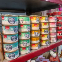 ونپی چینی نویس عمده