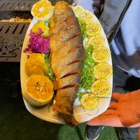 استخدام اشپز