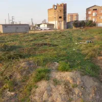 زمین پر برکت|فروش زمین و ملک کلنگی|هادی شهر, |دیوار