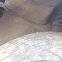 111|خودرو سواری و وانت|گنبکی, |دیوار