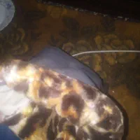 طلاق موتور سیکلت|موتورسیکلت|ارومیه, |دیوار