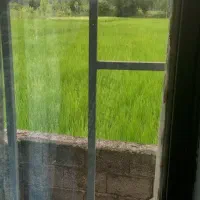 ایده همکاری