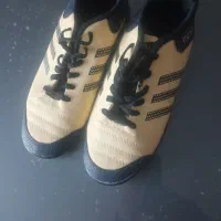 کفش کتانی سالن