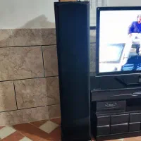 ال سی دی|تلویزیون و پروژکتور|گالیکش, |دیوار