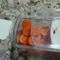 خردکن برقی ریلی صفر تازه ونو|خردکن، آسیاب، غذاساز|سقز, |دیوار