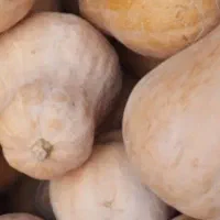 فروش کدو حلوایی درجه یک مشگین|خوردنی و آشامیدنی|مشگین شهر, |دیوار