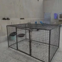 جوشگارتابلو